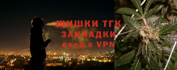 мдпв Заводоуковск