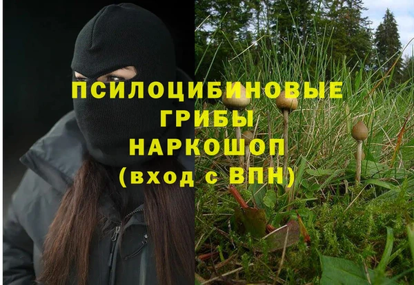 мдпв Заводоуковск