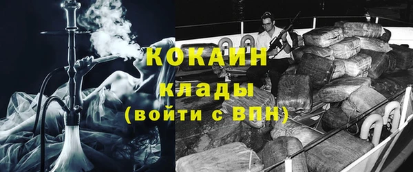мдпв Заводоуковск