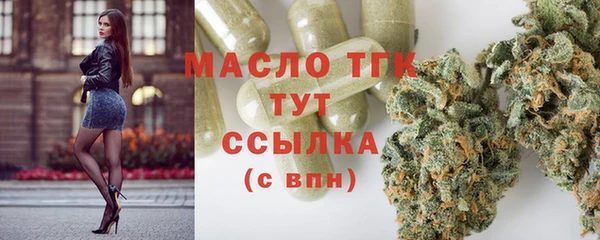 мдпв Заводоуковск