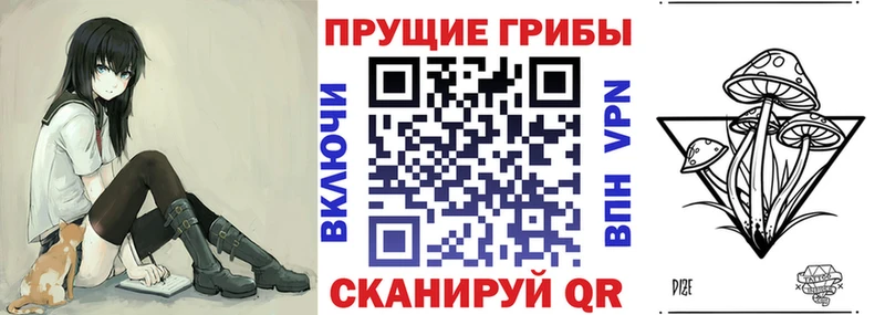Купить закладки Туапсе Псилоцибиновые грибы Psilocybine cubensis